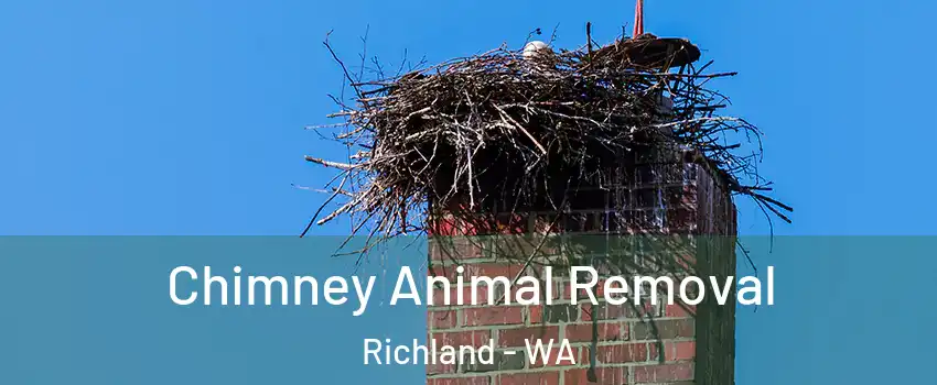 Chimney Animal Removal Richland - WA