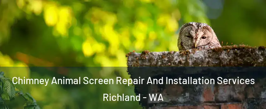  Chimney Animal Screen Repair And Installation Services Richland - WA