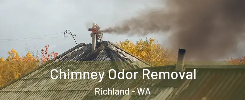  Chimney Odor Removal Richland - WA