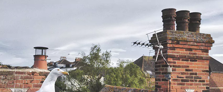 Chimney Cleaning And Restoration in Richland, Washington