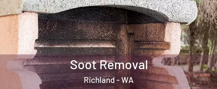  Soot Removal Richland - WA